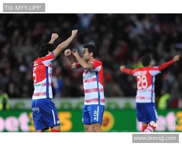 里昂与波尔多激战正酣比分揭晓精彩瞬间回顾